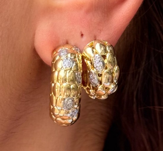 Çok Yönlü Şıklık: Gold & Gümüş Küpe Küçük Boy resmi