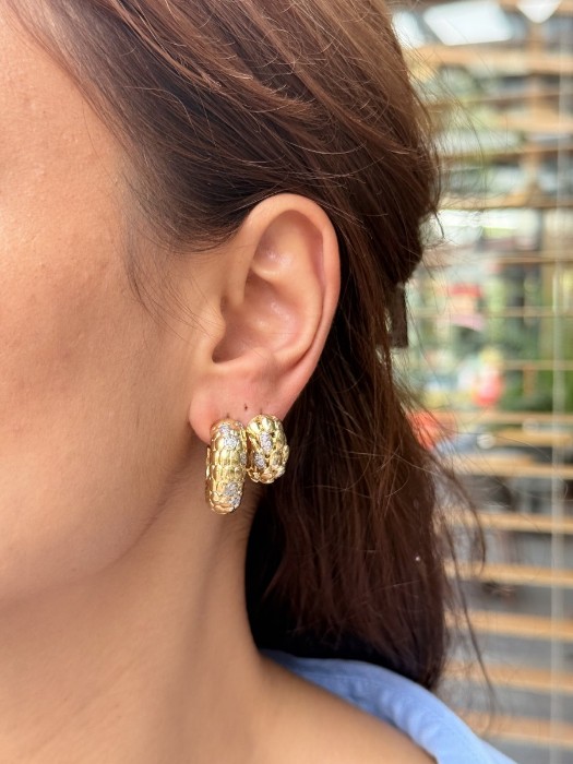 Çok Yönlü Şıklık: Gold & Gümüş Küpe Küçük Boy resmi