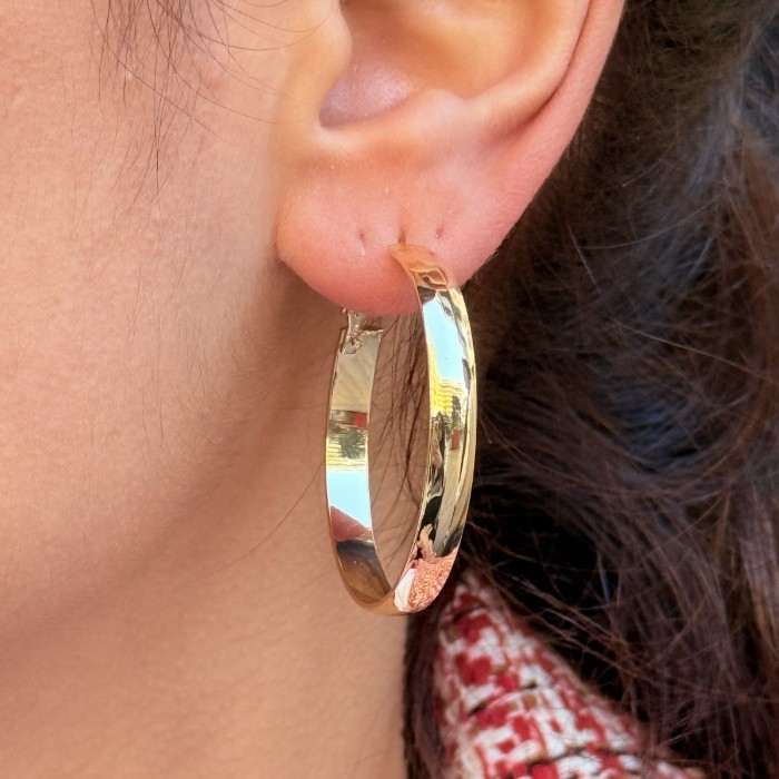 Işıltılı Halka Küpe resmi