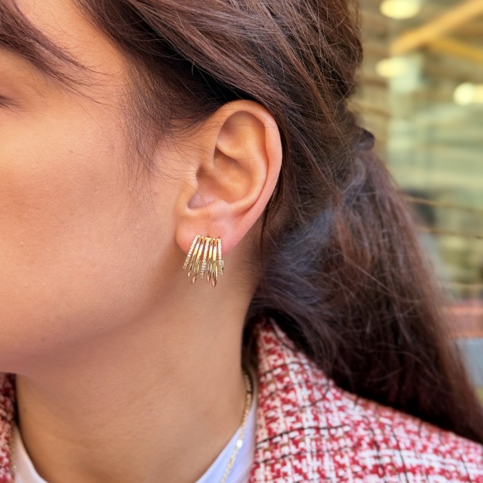 Çok Halkalı Işıltı Küpe resmi